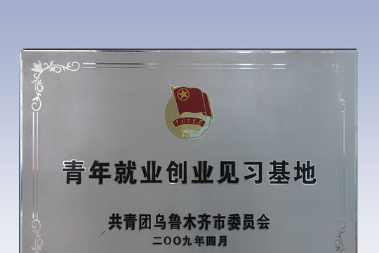 2009年青年就业创业见习基地