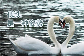 银穗朱晓娟：低头是一种姿势