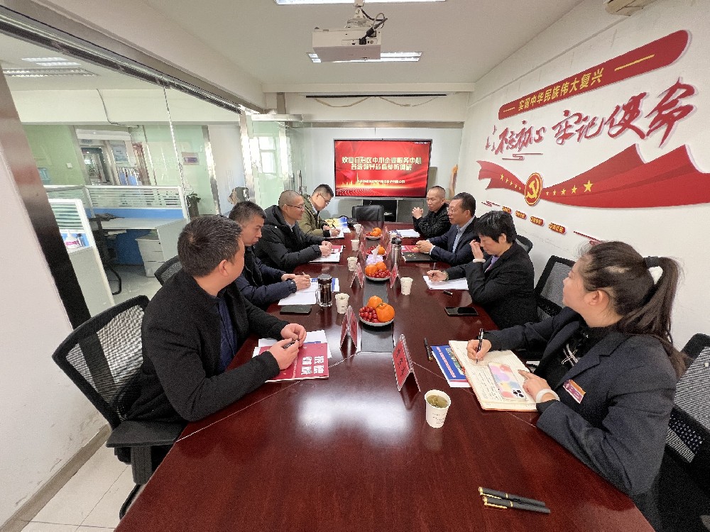 自治区中小企业服务中心各级领导莅临我司参访调研