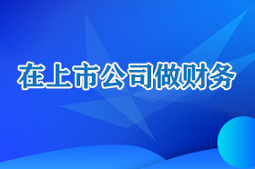 在上市公司做财务，分管一个子公司的财务，有什么体验呢？