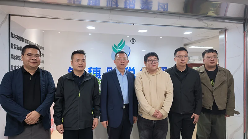 wang-zhi1-43.webp 网址1.png